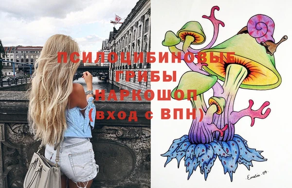 таблы Няндома