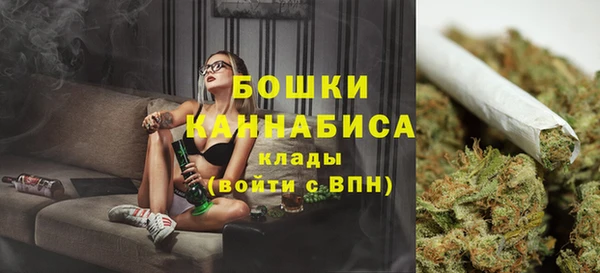 ALPHA PVP Нягань