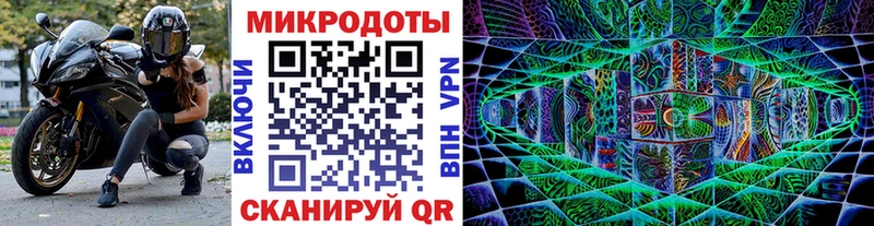 Галлюциногенные грибы Psilocybe  Зеленоградск 